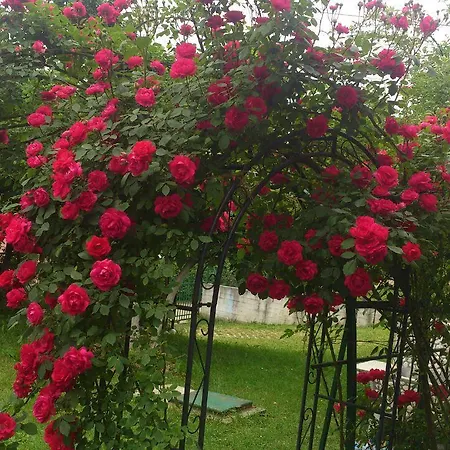 Holiday Ilidza *