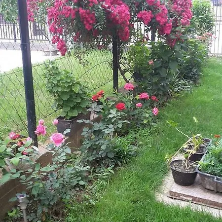 Holiday Ilidza